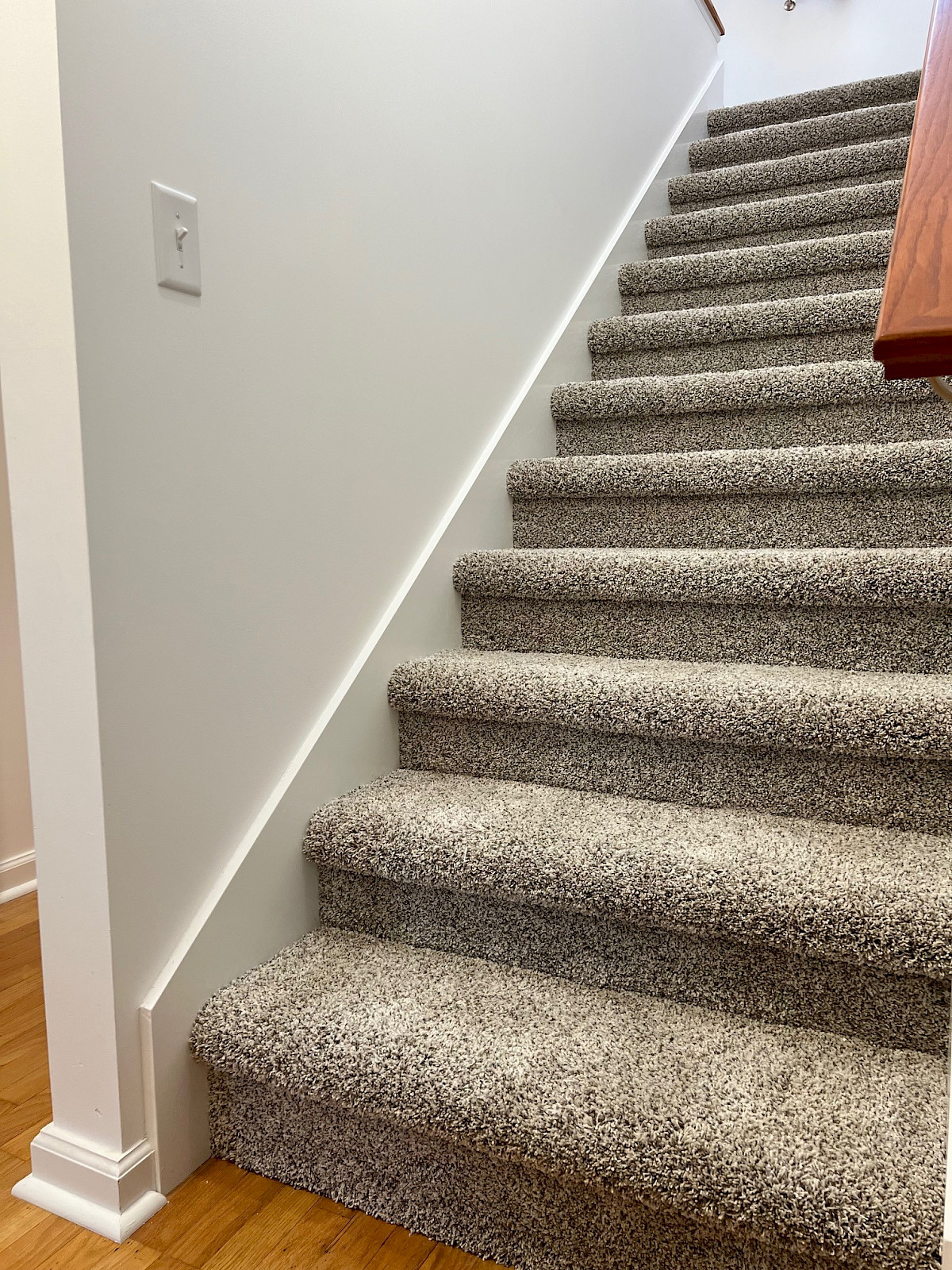 Carpeted staircase with newly installed carpet, white trim, and a stained wood handrail.